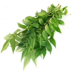Curry leaves 100gms